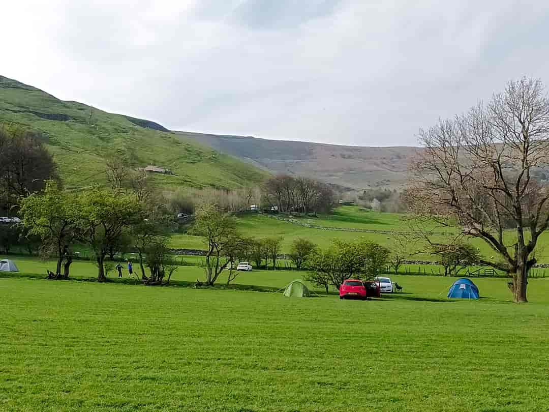 Treaks Pringle Camping