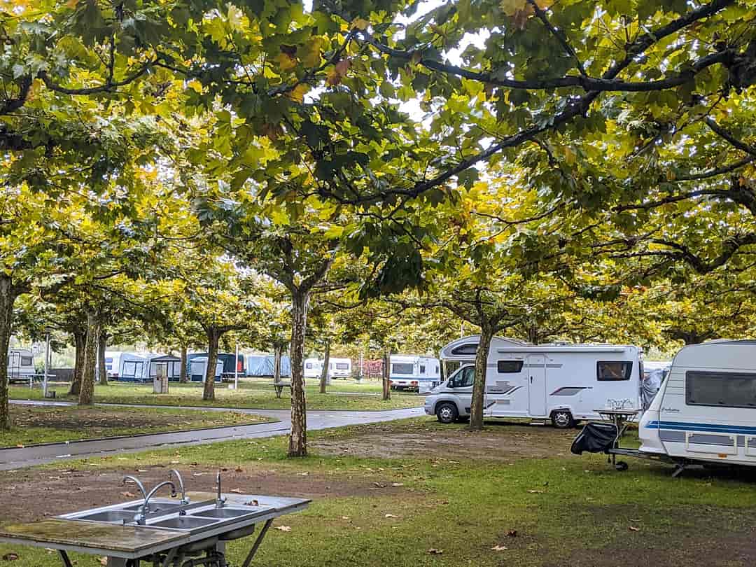 Camping Playa El Regatón: Visitor image of pitches under the trees