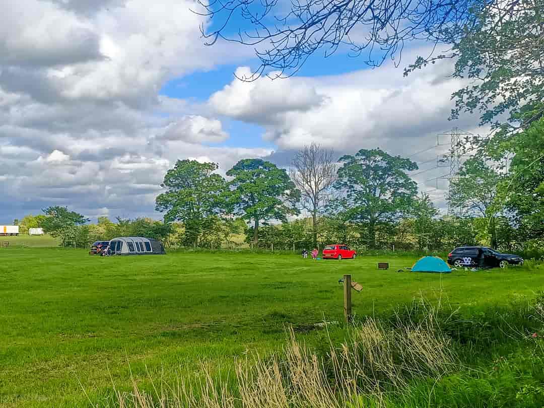 Pitch on the Wall Campsite: Pitches