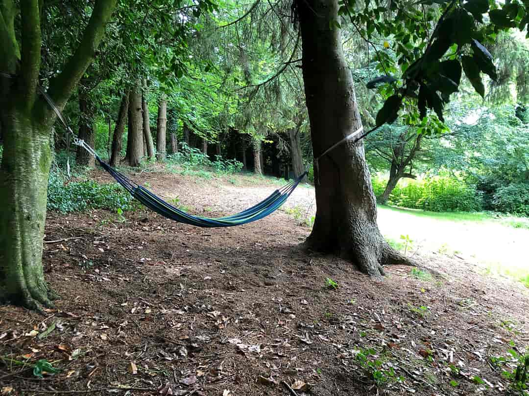 Manor Farm: Relax in the tree hammock