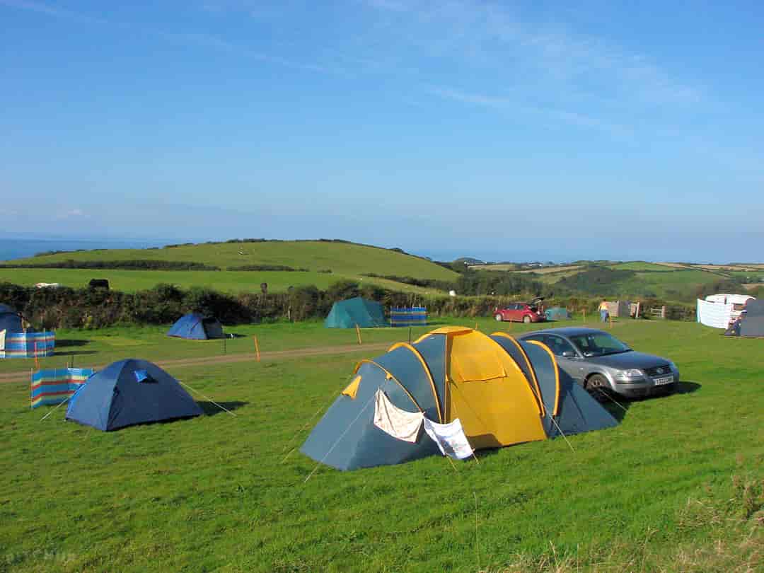 Mullacott Farm: Camping pitch