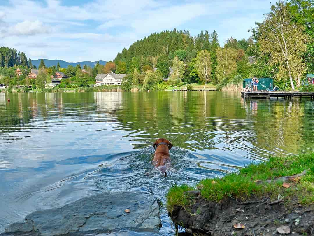 Sonnenresort Maltschacher See: The lake
