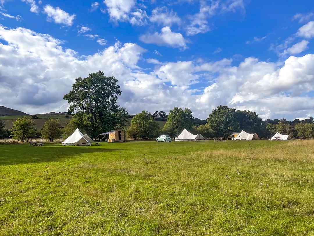 Alderwood Glamping: Visitor image of the beautiful site