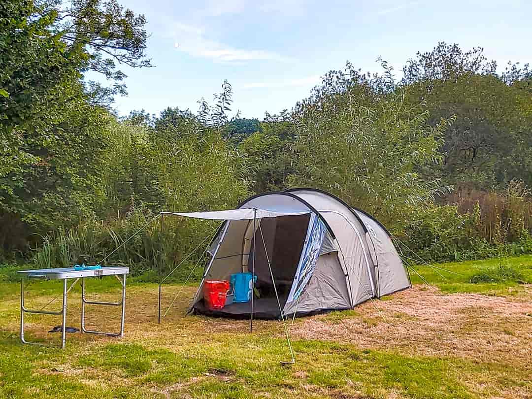 Allerbrook Meadows: Visitor image of their pitch