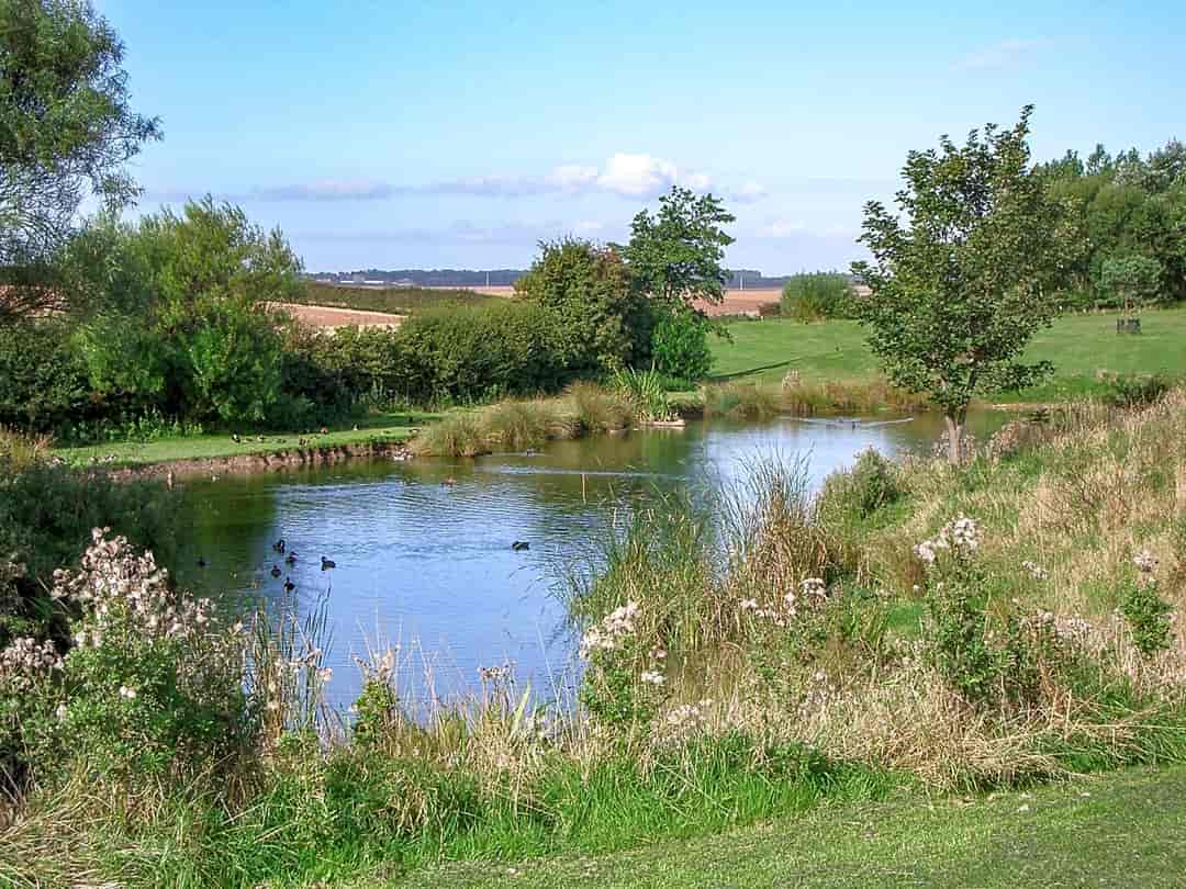 The Willows Holiday Park: Pond