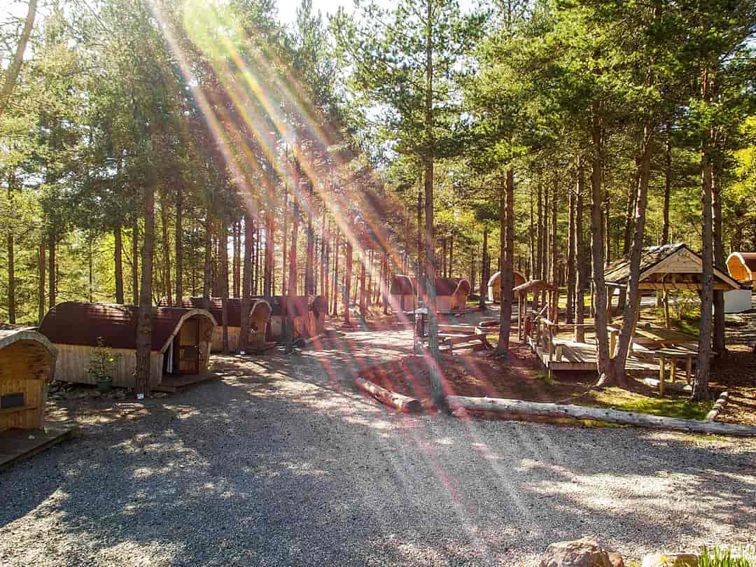 Camping Pod Heaven: Pods in the woods