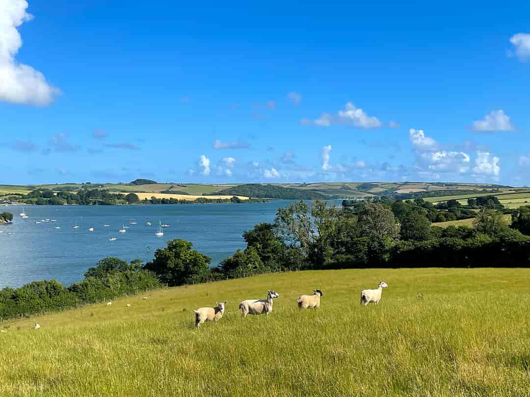 Woodhouse Farm: Campsite view, by the water