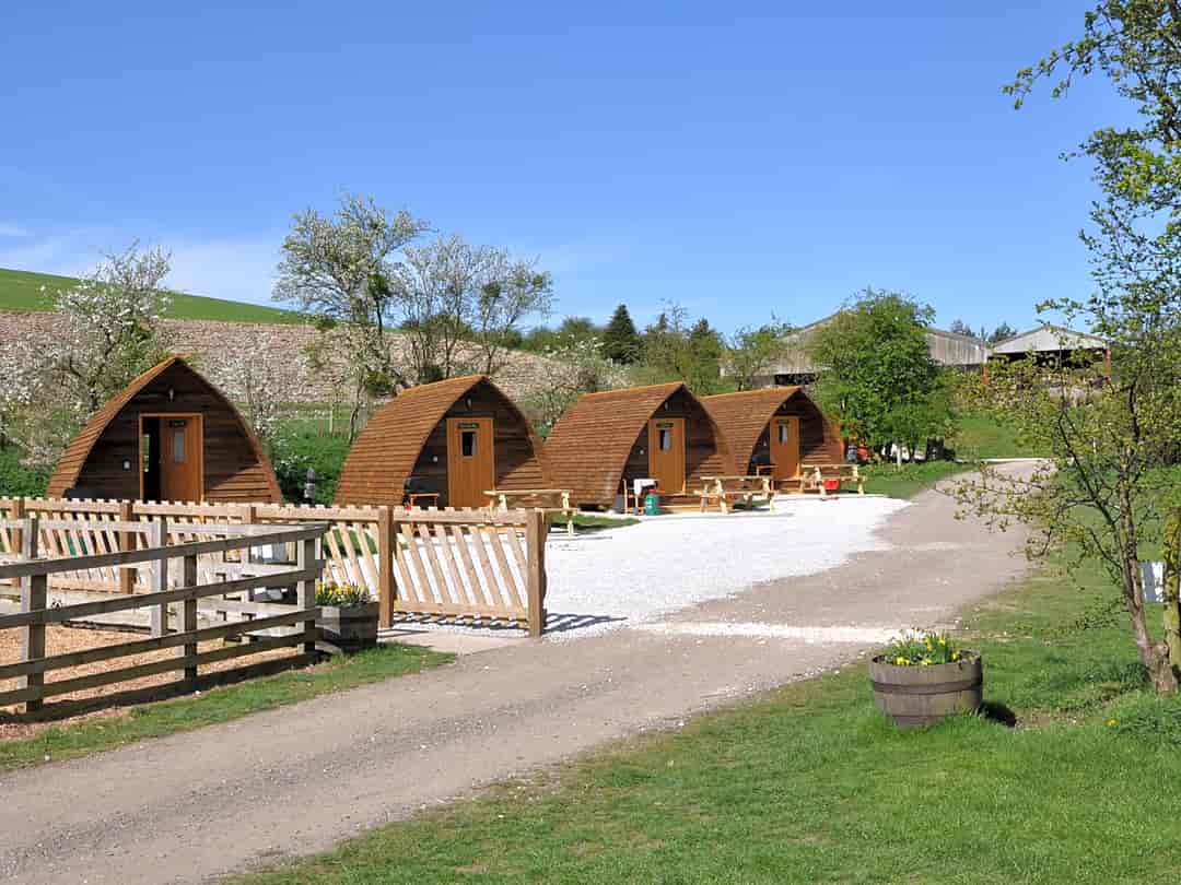 Humble Bee Farm: Enjoy your stay