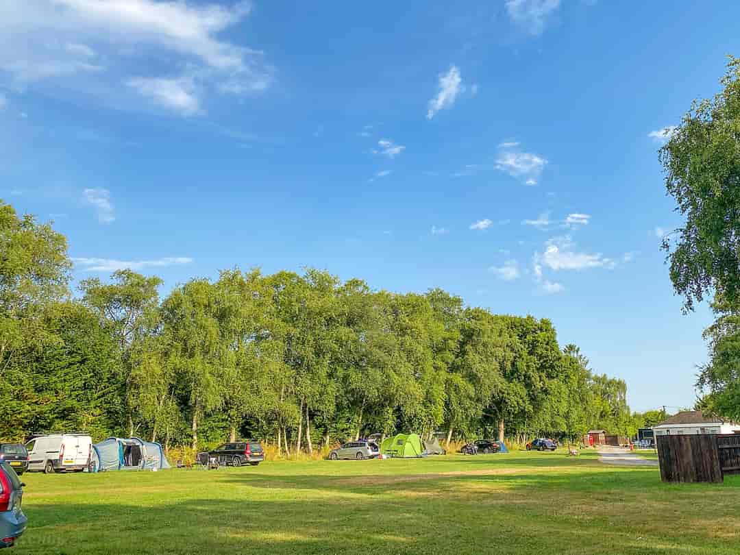 Woodlands Campsite: Grass pitches