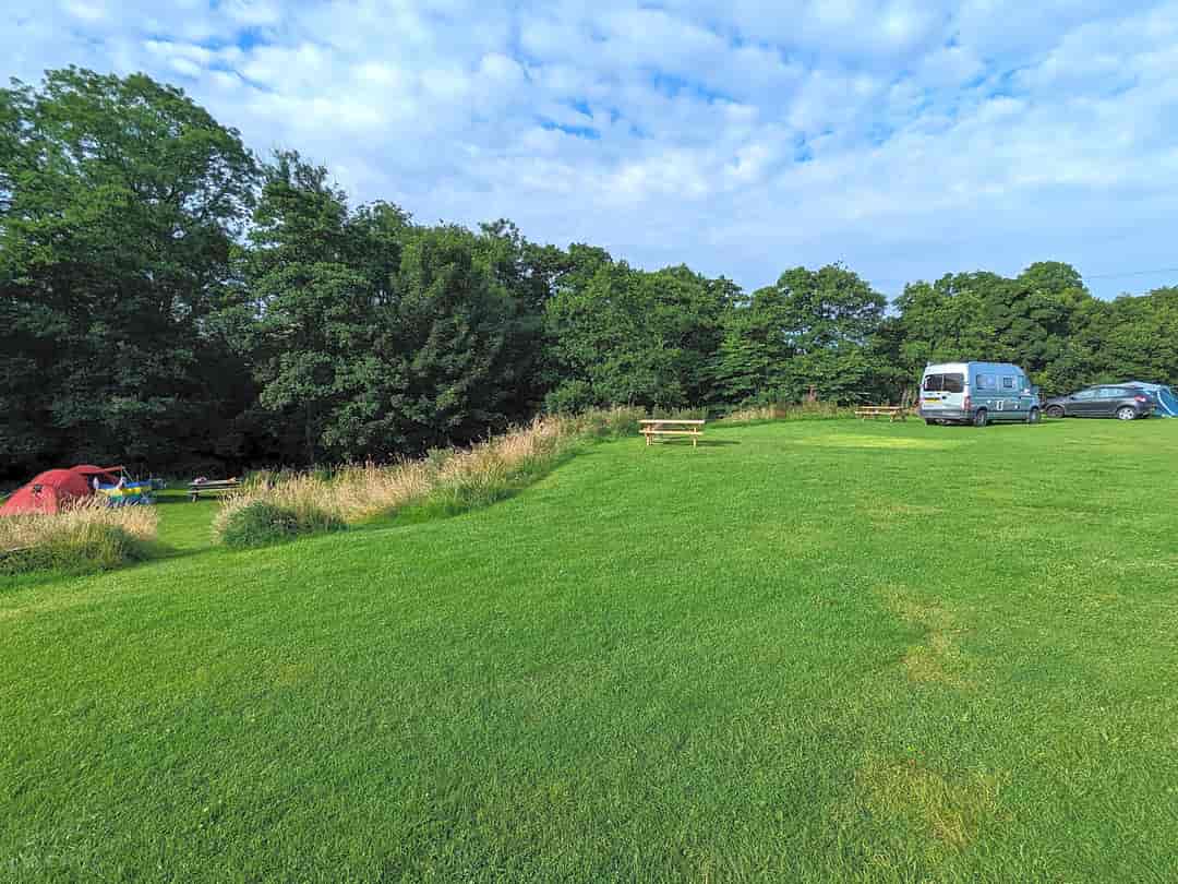 Caldbeck Camping: Large pitch for cars.