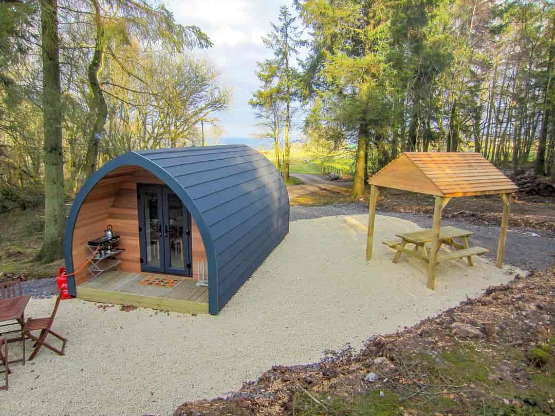 Nettwood Country Breaks: Pod inside the woods captures the afternoon and early evening sunshine