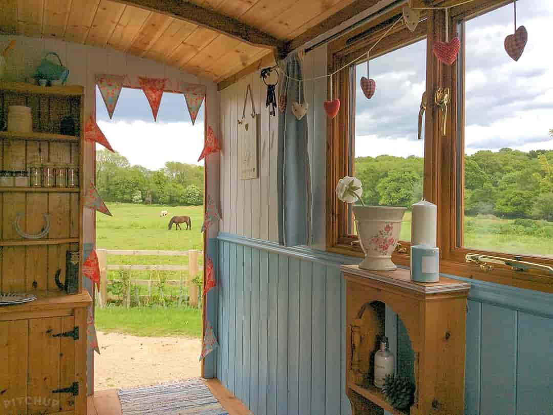 Morelands Copse Camping: Peaceful and scenic hut