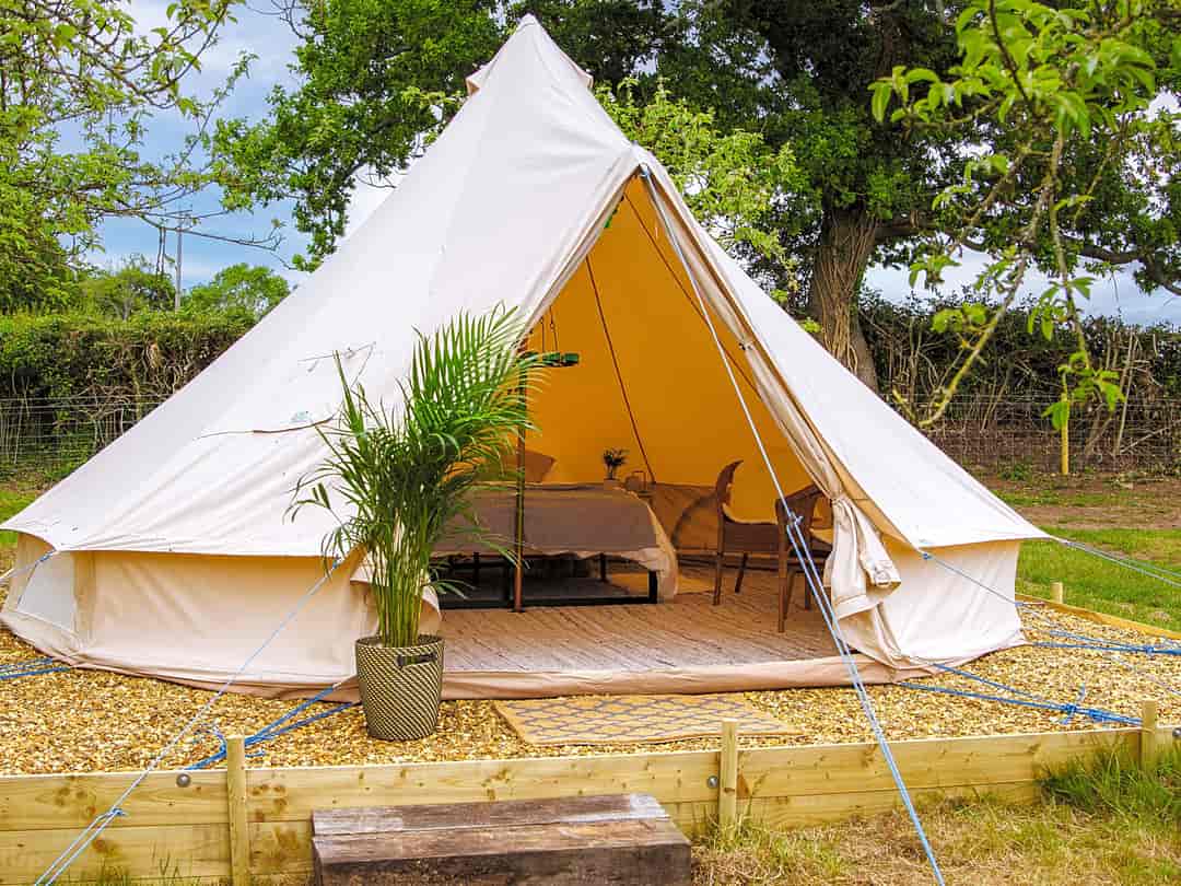 Bowhayes Farm Camping: Relax in our bell tents surrounded by beautiful cider orchards