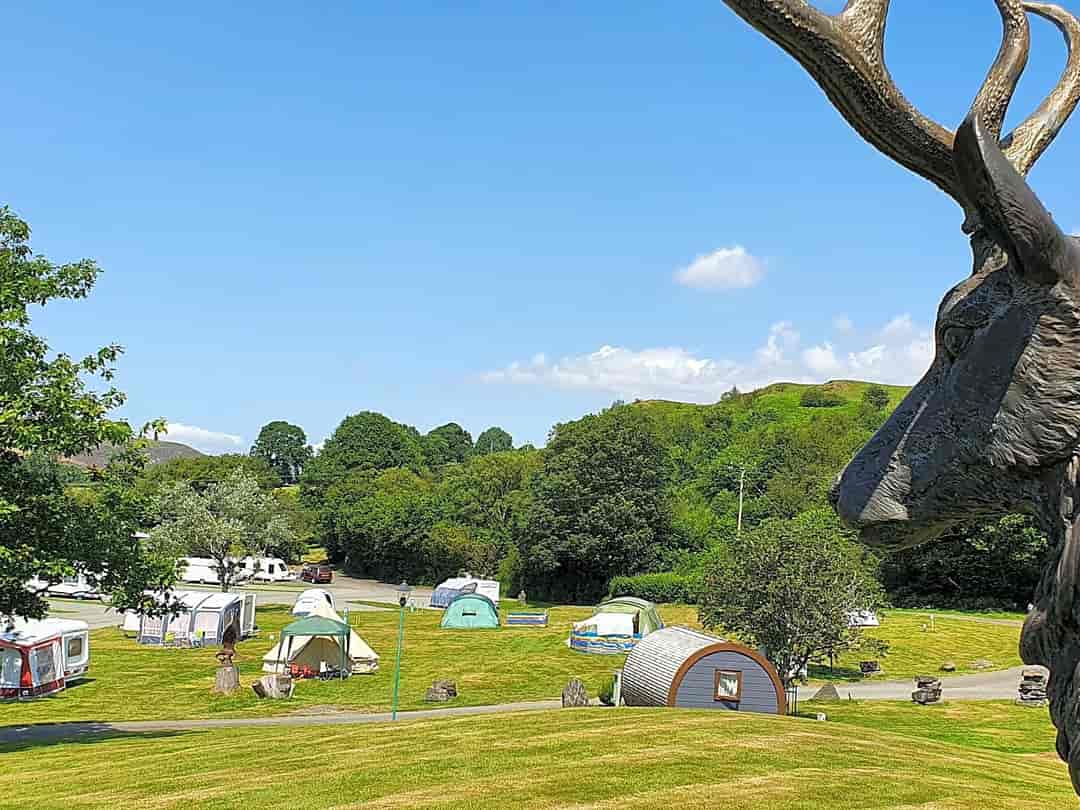 Woodlands Caravan Park: The Stag keeping watch