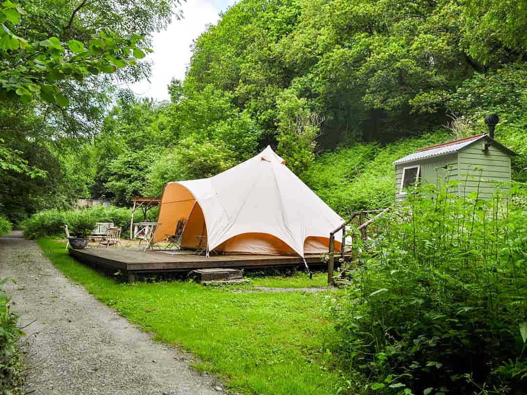 Owl Valley Glamping: A view of the bell tent