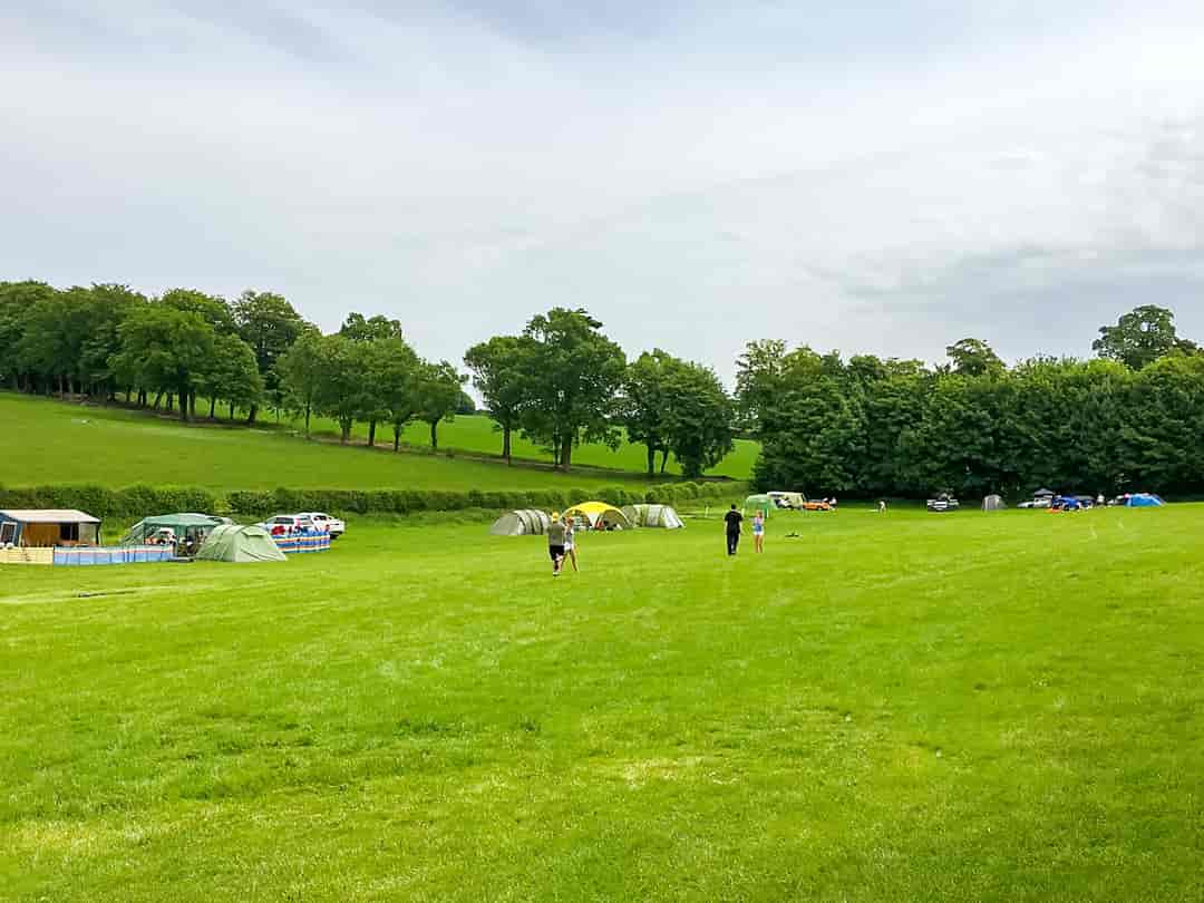 Cedar Valley: The paddock