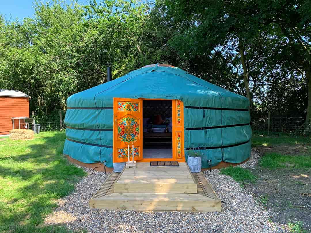 Chiltern Yurts: Golden Pheasant yurt