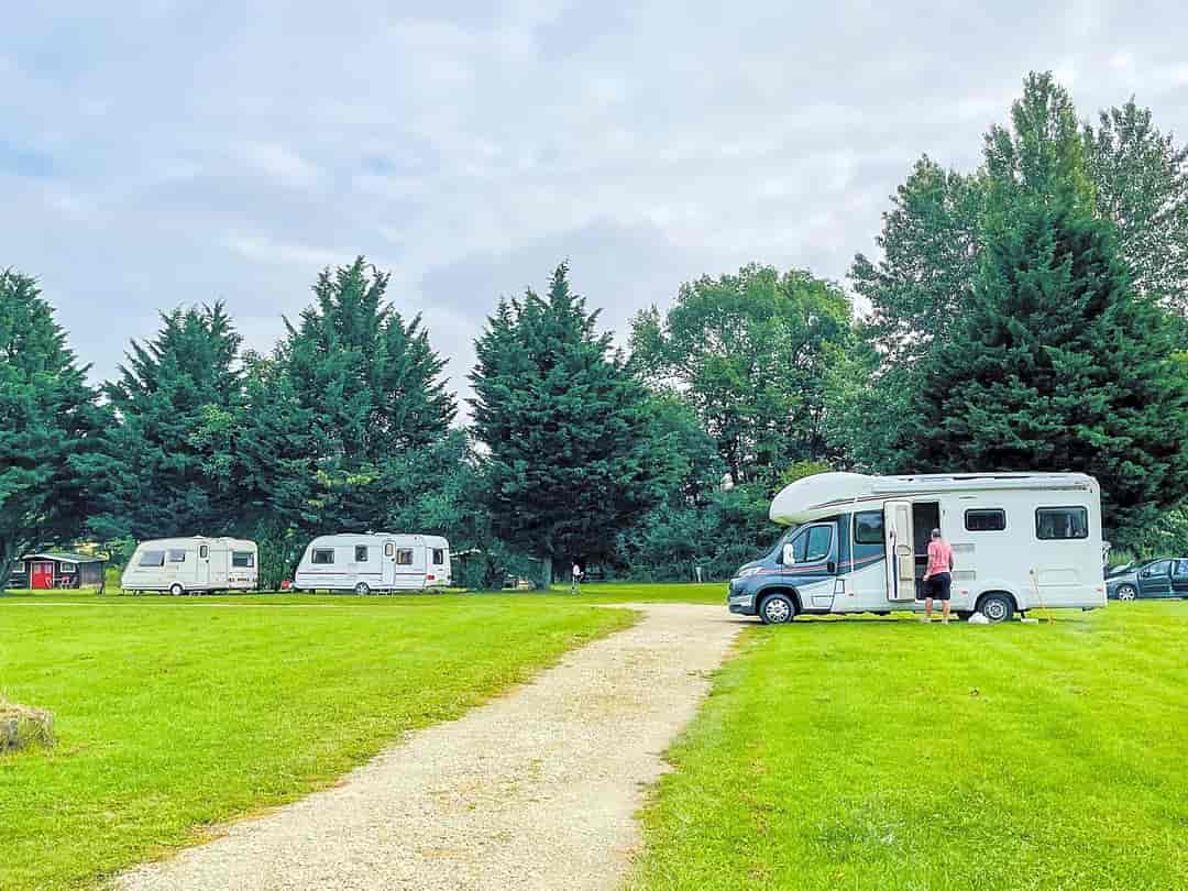 Camping de la Touche: Visitor image of the beautiful spacious pitches with electric hook ups