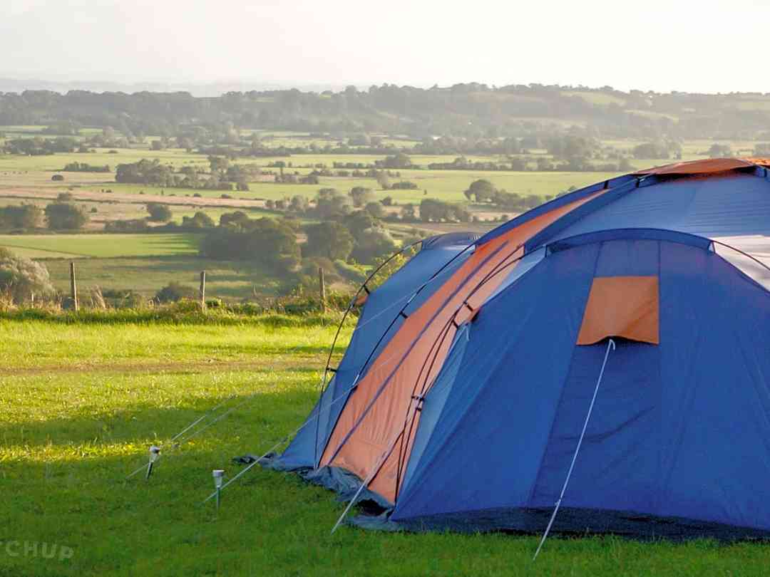 Bucklegrove Caravan and Camping Park: Level grass pitches