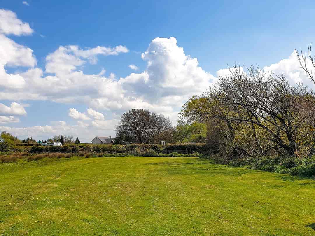 Roey's Retreat: Grass pitching field