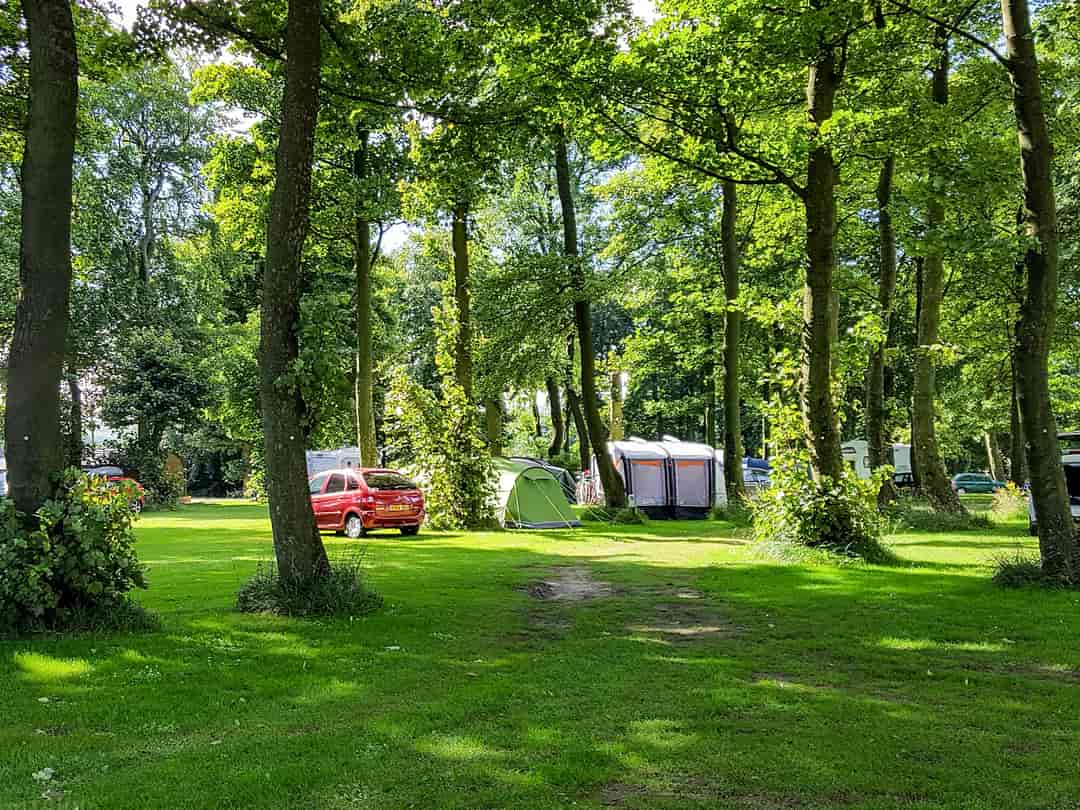 Staden Grange