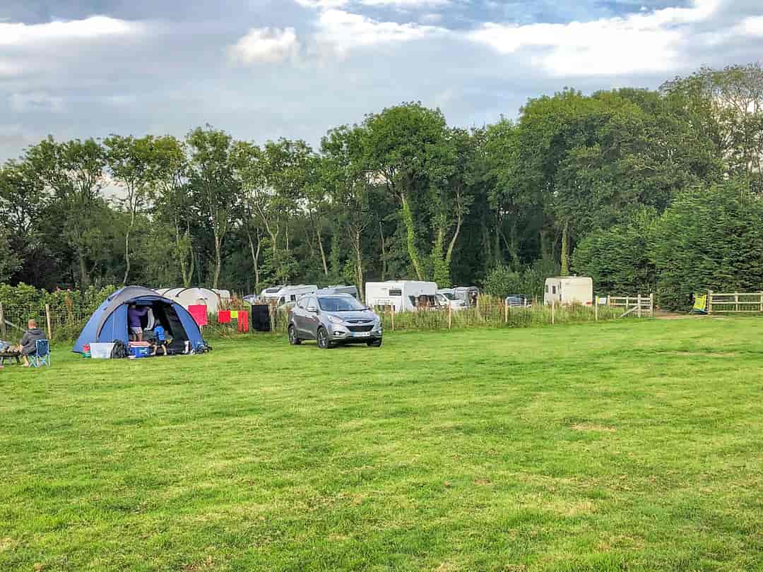 Coedhirion Farm: Grass pitches