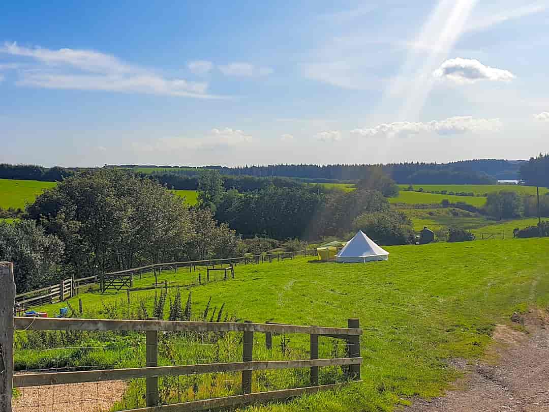 Westland Farm: Visitor image of the amazing scenery