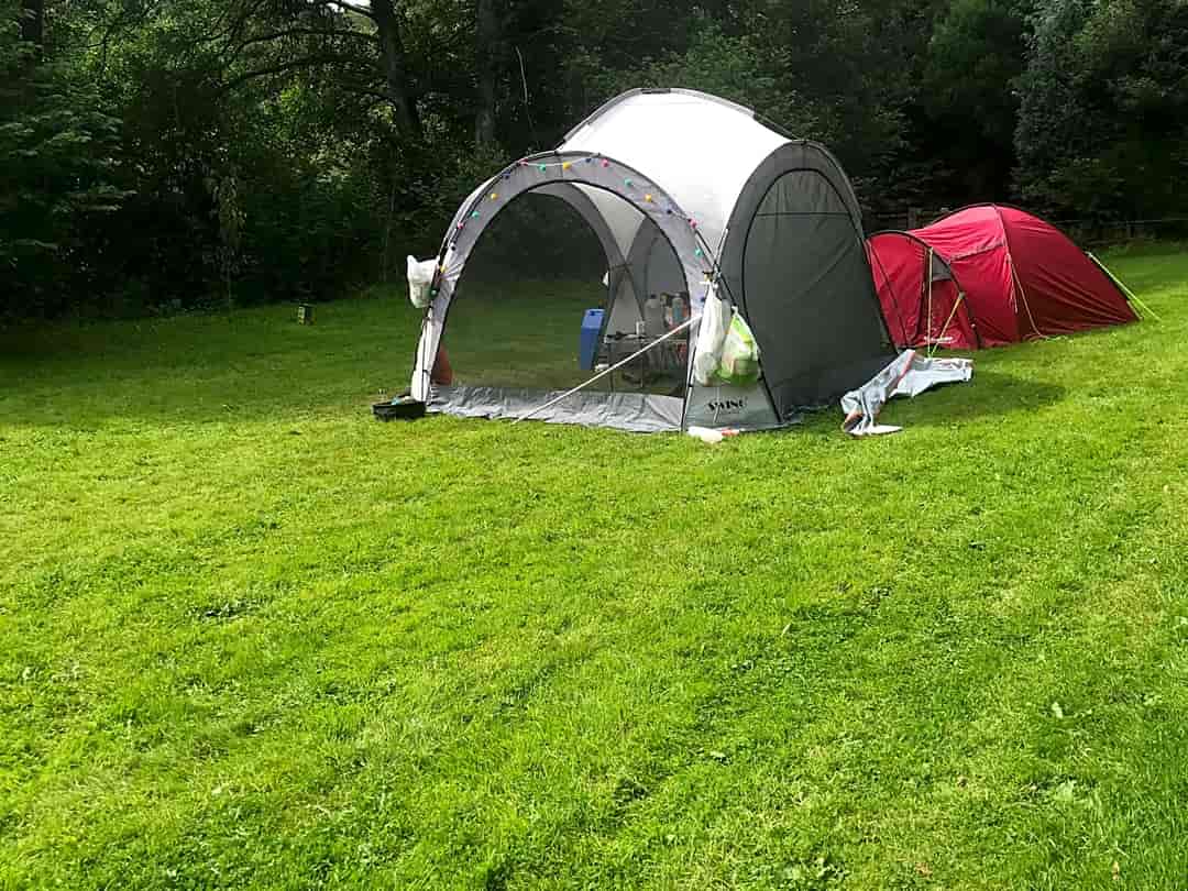 Reedy Brook Meadow Campsite: Large family pitches