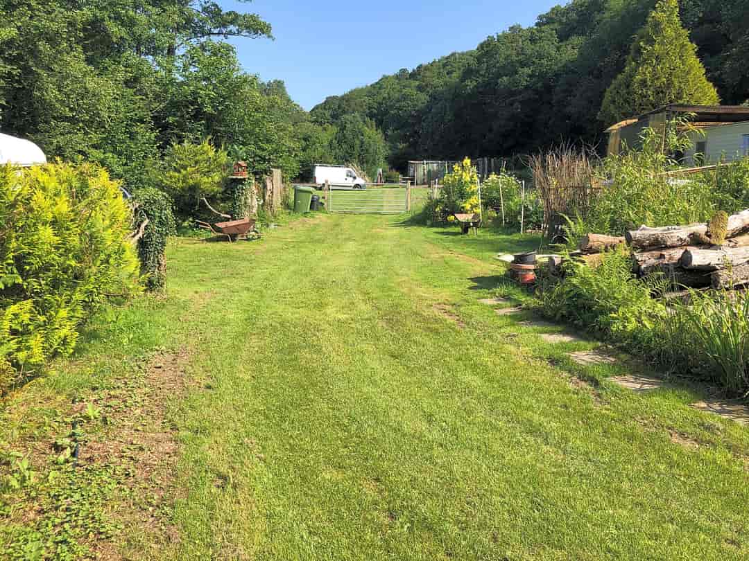 Reedy Brook Meadow Campsite: Site view