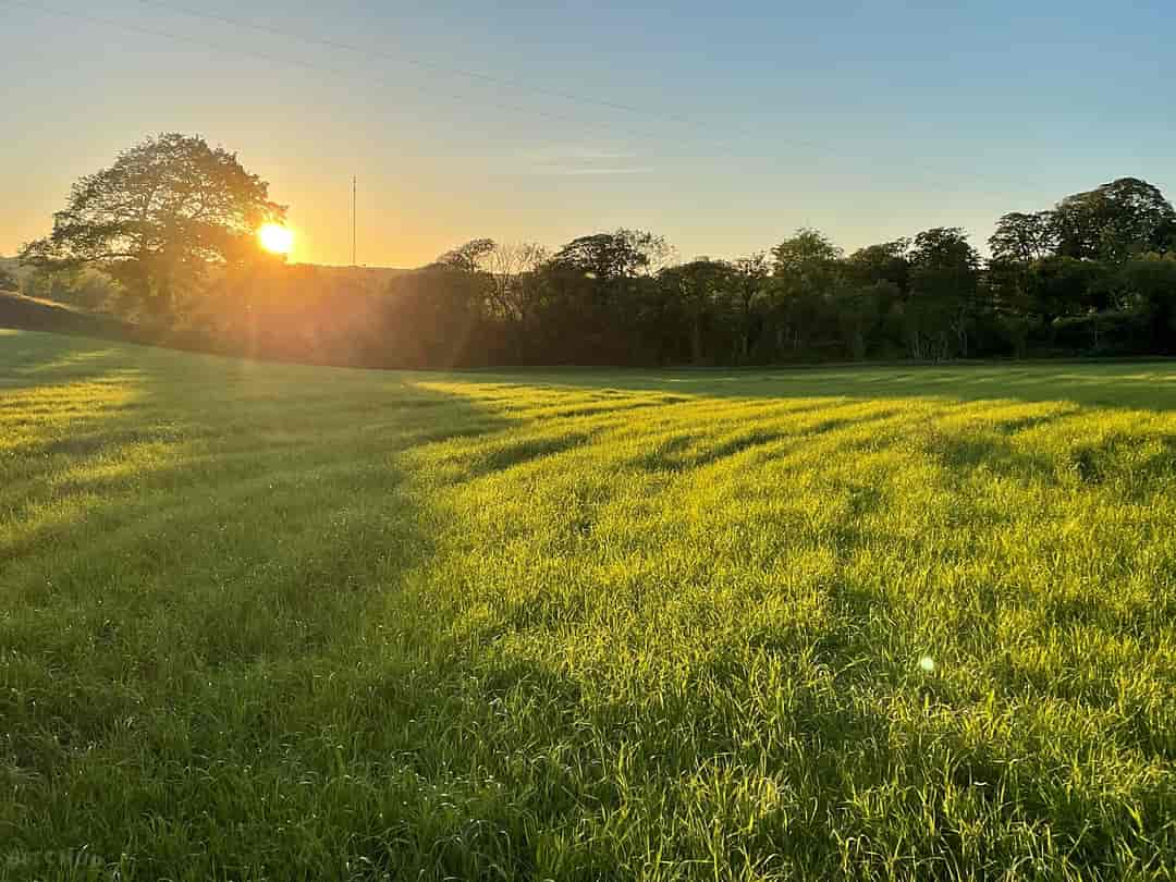 Llys-Y-Frân Meadow Campsite: Meadow field