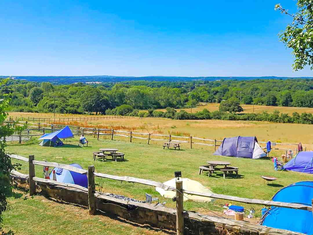 Morleys Farm: Campsite