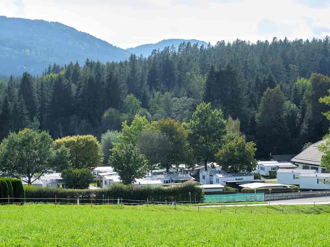 Sonnenresort Maltschacher See: Trees in the background
