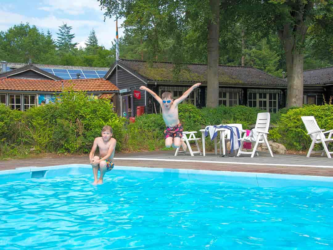 EuroParcs De Wiltzangh: The pool
