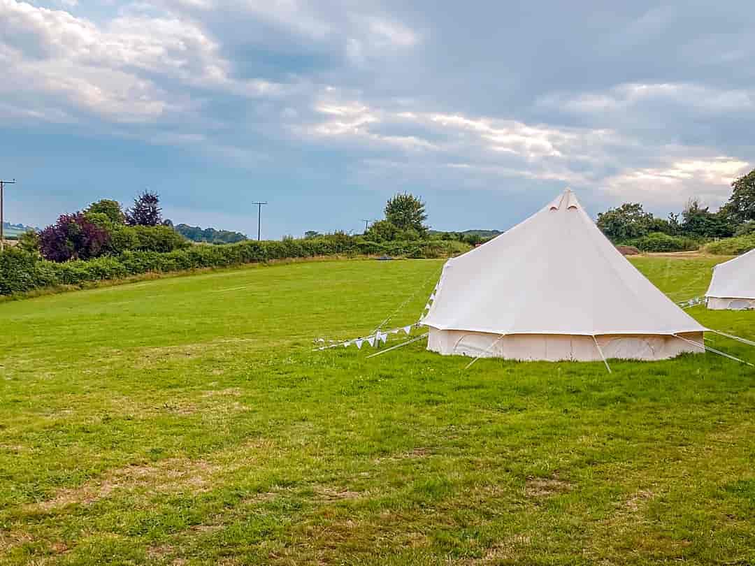 Glebe Camping: Bell tent
