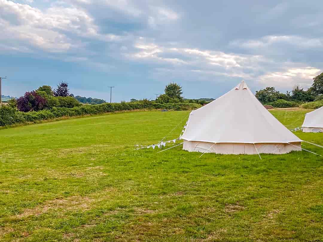 Glebe Camping