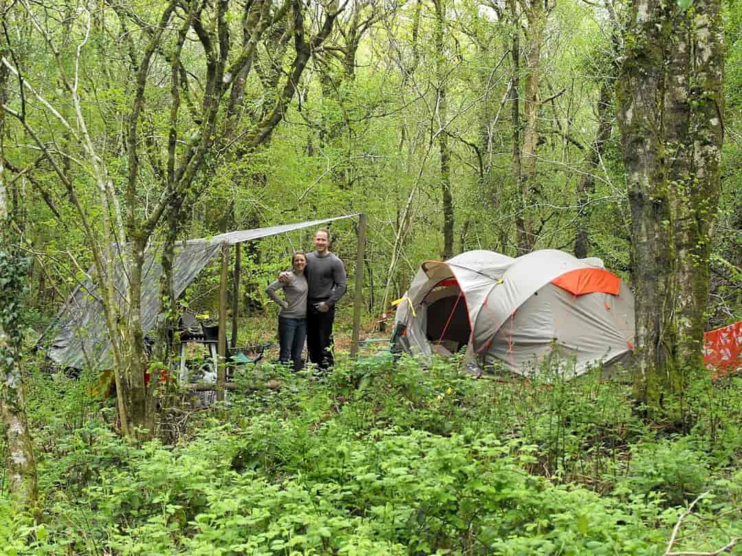 Hole Station Campsite: Forested setting
