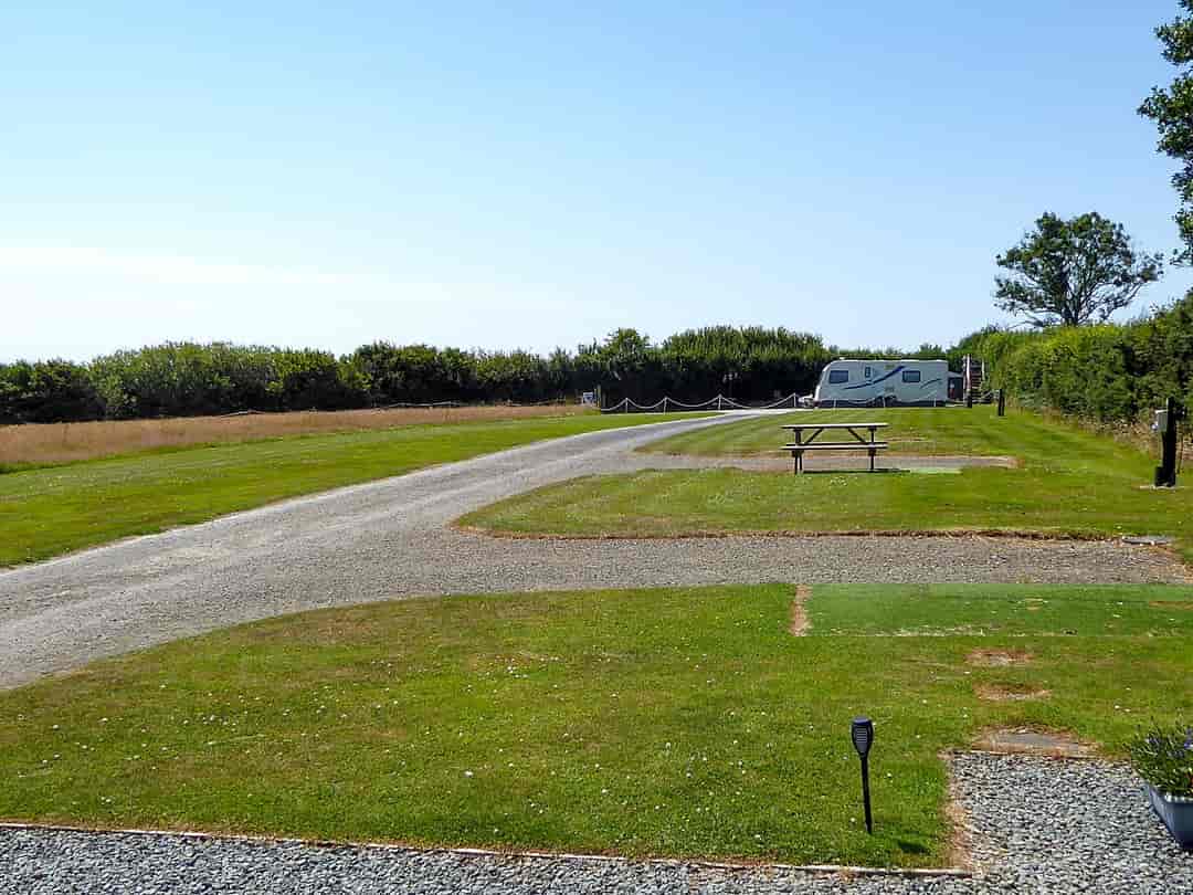 Stroxworthy Farm Campsite: Hardstanding and grass pitches