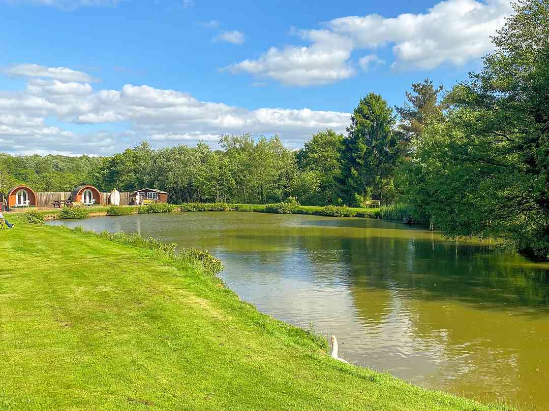 Blackbrook Lodge Camping and Caravanning: Pond with Pods