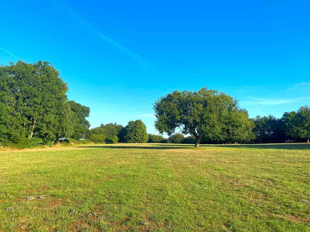 Hipsley Field: View of the site