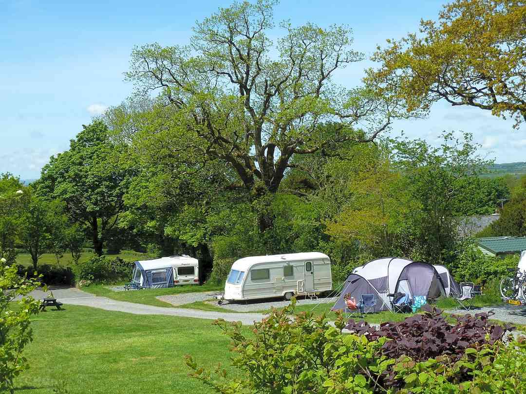 Langstone Manor Holiday Park: Shady and sunny pitches available