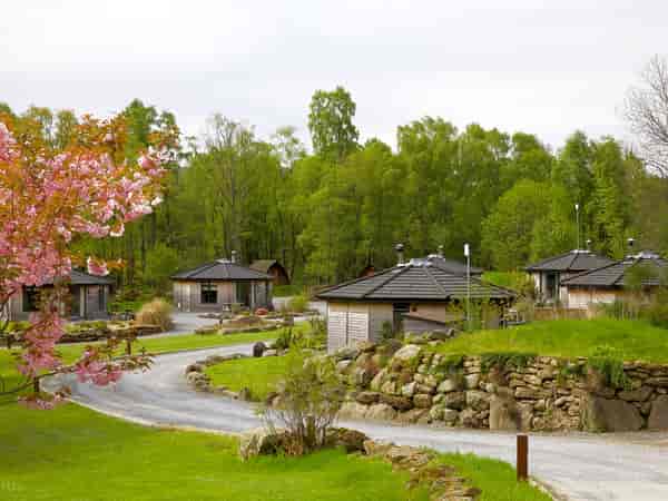1 bedroom cabin (pet friendly)