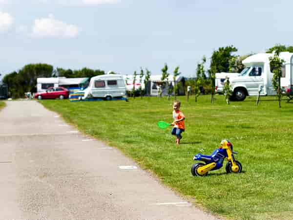Powered grass site