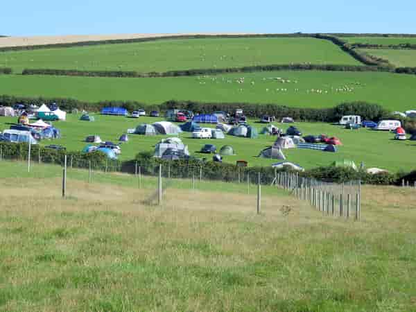 Non-electric grass pitch