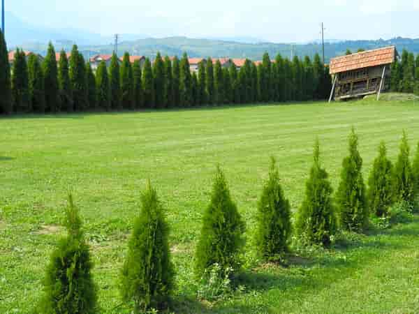 Grasbewachsener Stellplatz mit Stromanschluss
