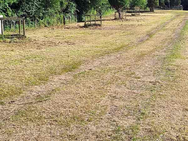 Powered grass site