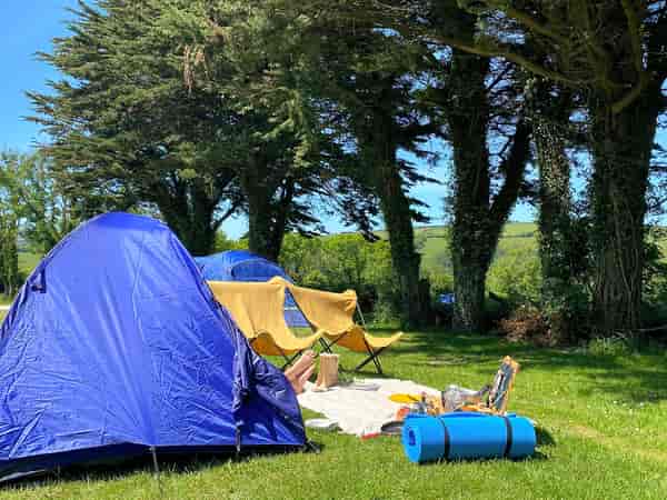 Piazzola tenda o carrello tenda Rabbit Field su erba con elettricità (all'ombra)