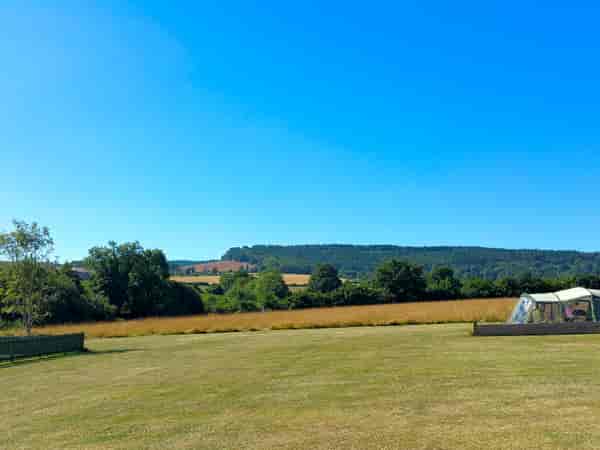 Electric grass pitch