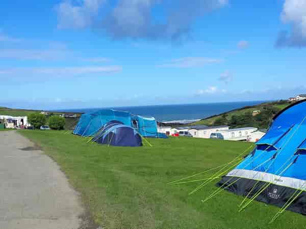 Electric grass tent pitch (large)