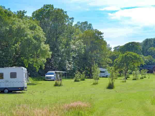 Orchard unpowered grass tent, trailer tent or campervan site