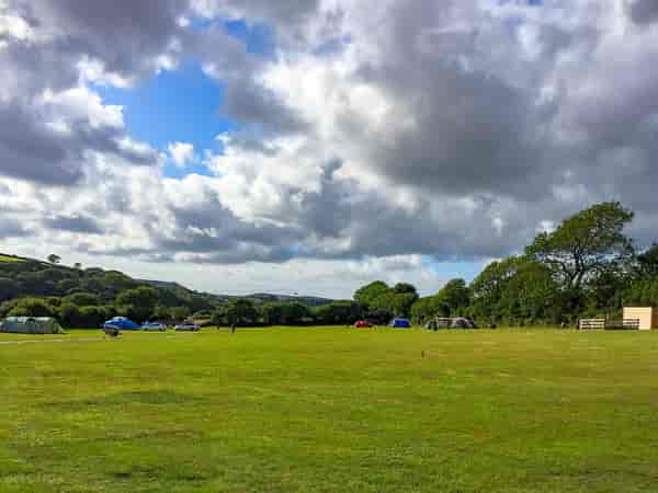 Electric optional grass campervan pitch